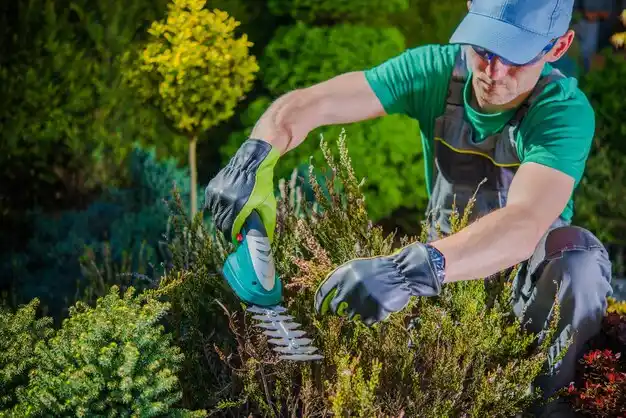 landscaping services Sulphur